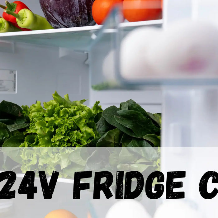 Image of 12V/24V fridge 