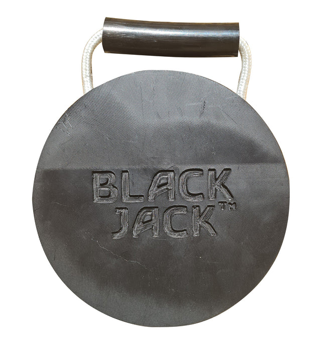 Black Jack Electric Powered Trailer Jack Kit